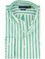 Polo ralph lauren overhemd custom fit groen gestreept