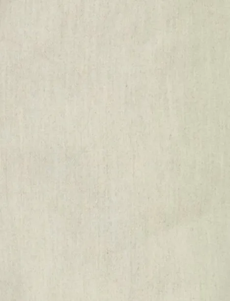 North 84 Prestige Chino beige