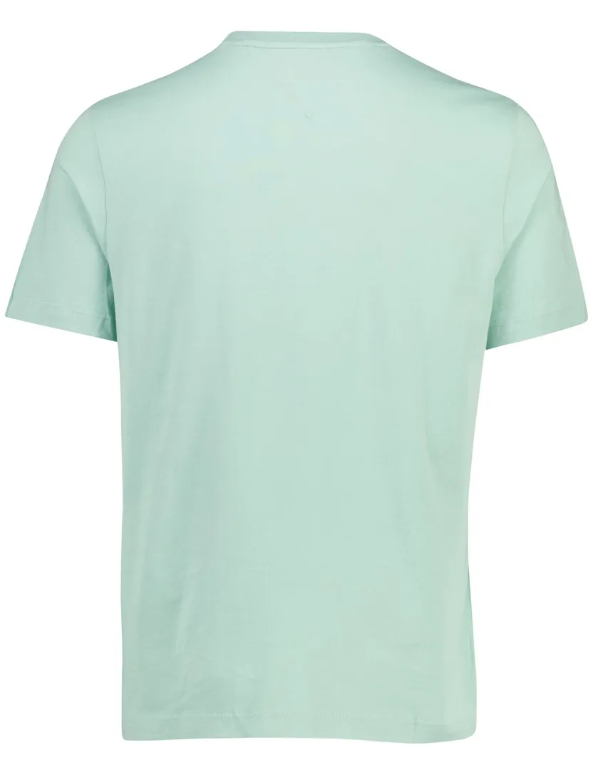 T-shirt Tommy Hilfiger Big & Tall ronde hals mintgroen