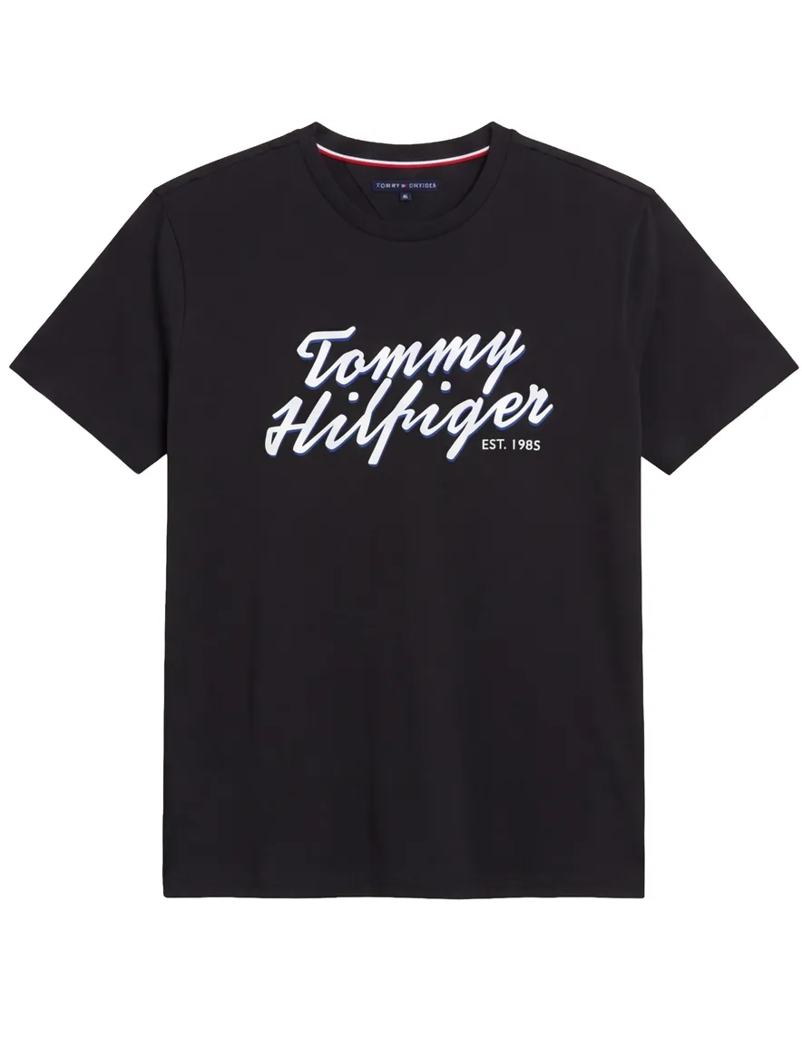 Zwart Tommy Hilfiger T-shirt voor de zomer met opdruk