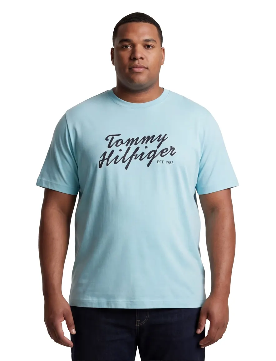 Tommy Hilfiger T-shirt ronde hals met opdruk lichtblauw