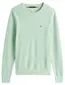 Groene Tommy Hilfigerbig & tall trui met lange mouwen