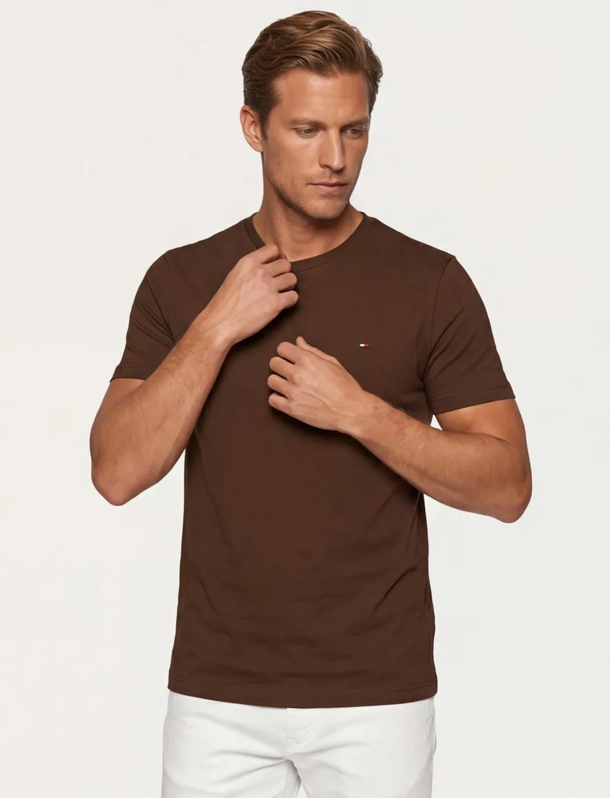 Tommy Hilfiger t-shirt bruin
