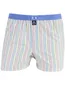 Gestreepte boxershort Mc Alson blauw