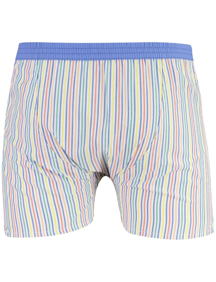 Gestreepte boxershort Mc Alson blauw