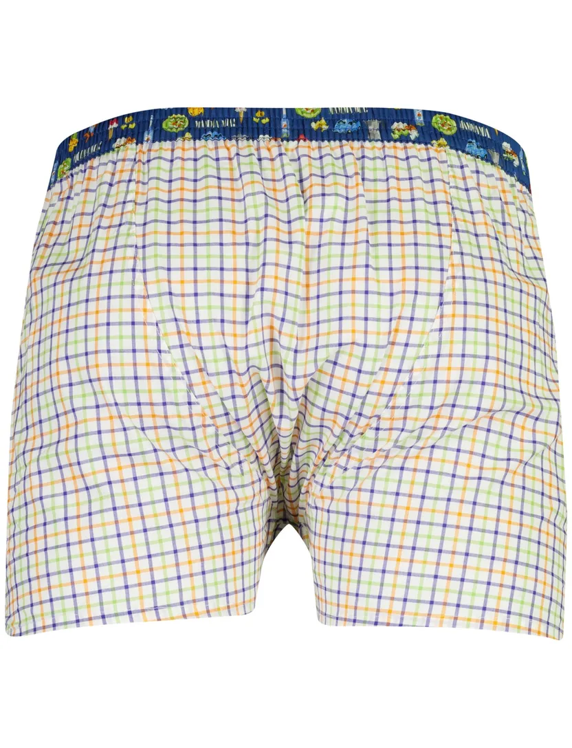 Mc Alson boxershort blauw geruit katoen