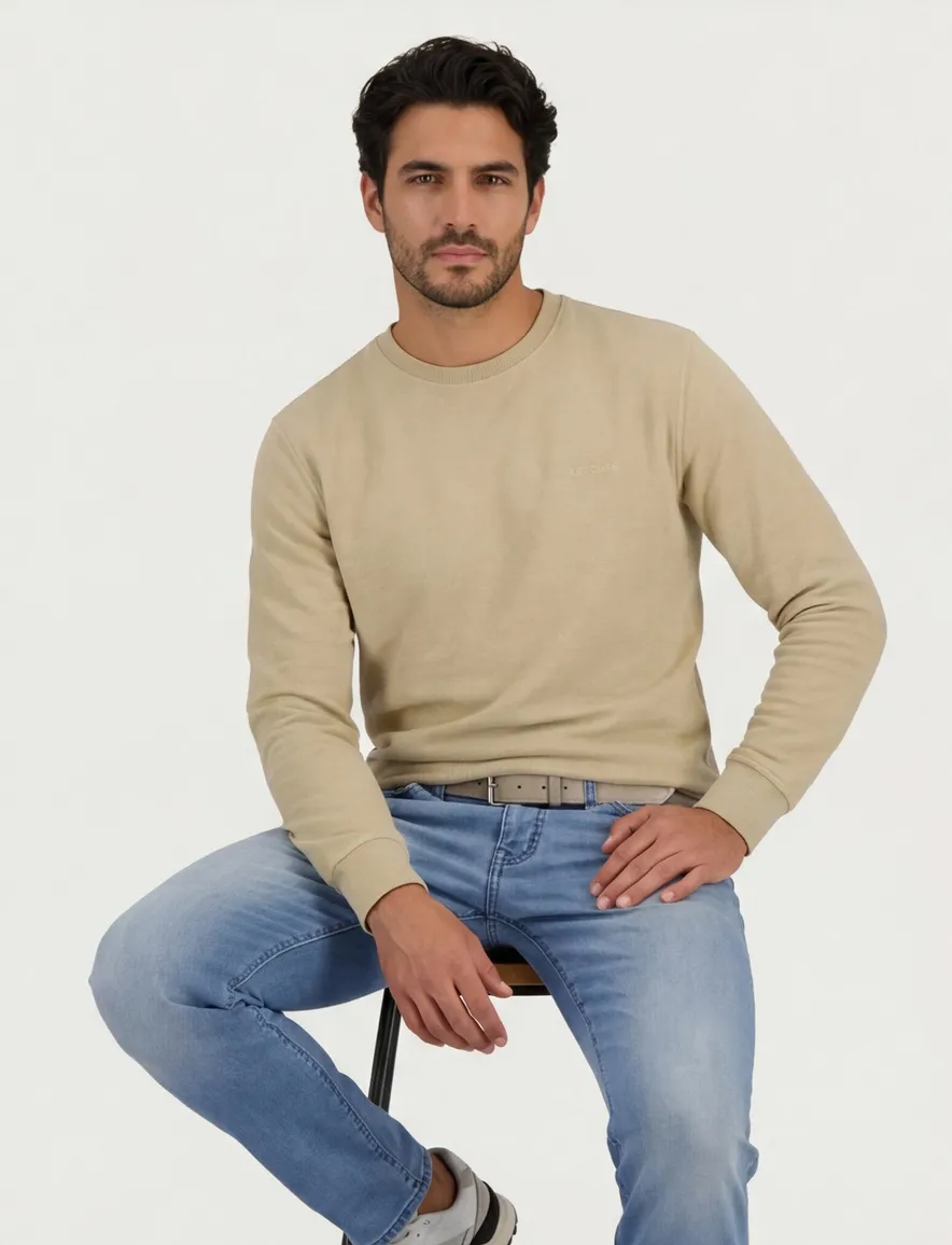 Beige sweater Airforce Milo ronde hals