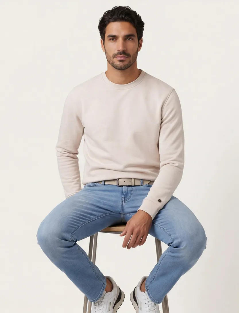 sweater Cast Iron beige backprint normale fit