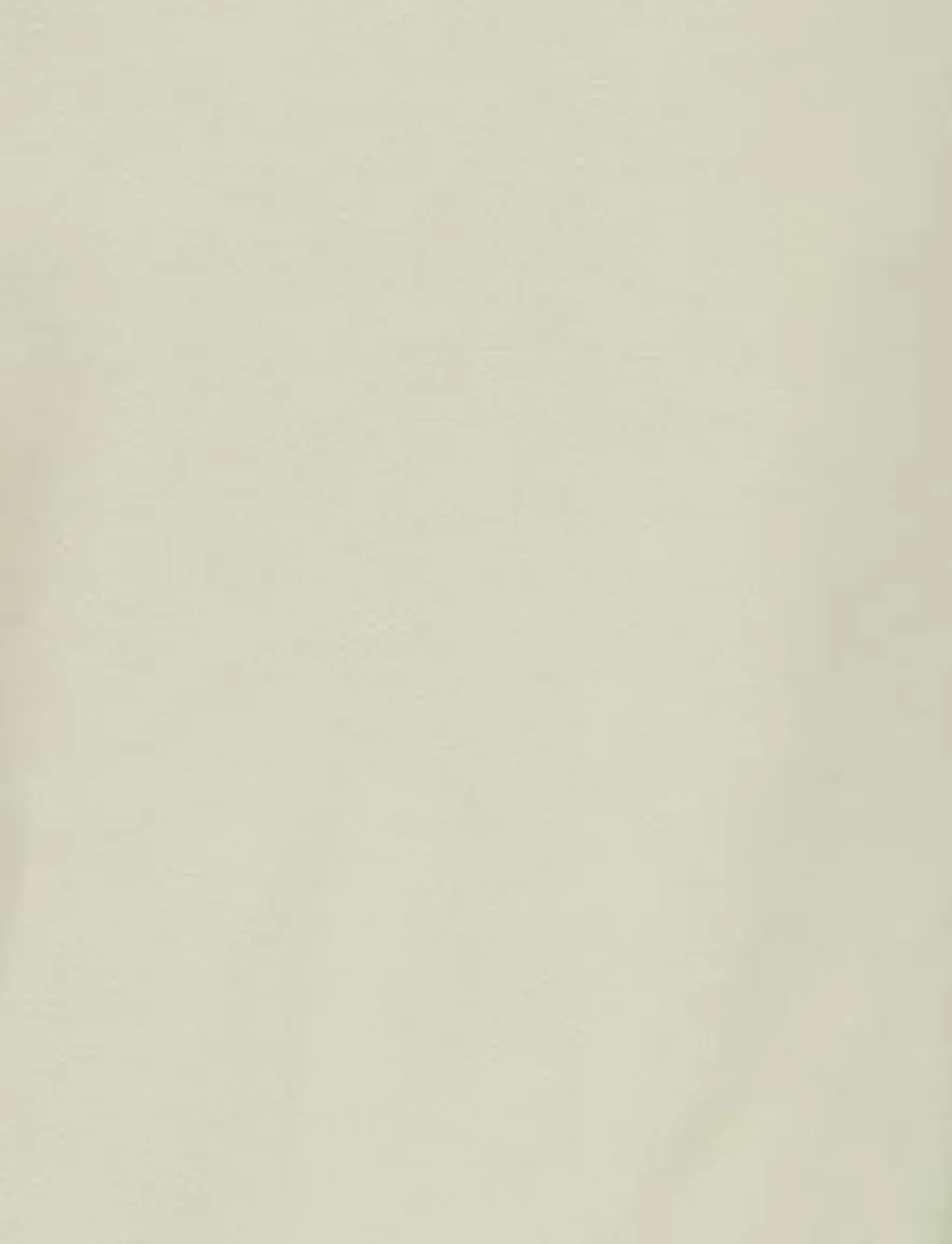 beige bermuda Aeronautica Militaire normale fit