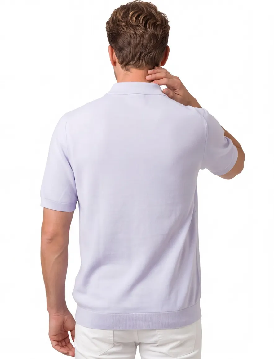 Classic fit lacoste poloshirt lichtblauw