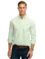 Groen overhemd gestreept wit slim fit Superdry