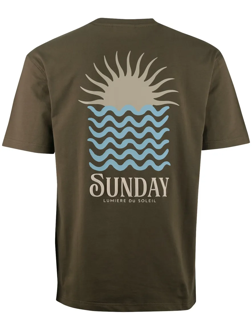Supply & Co bruin Ezra t-shirt back