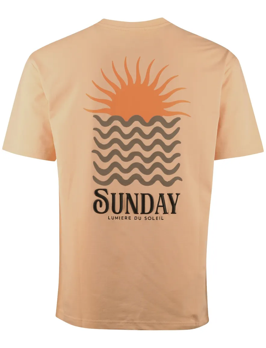Supply & Co oranje Ezra t-shirt met print