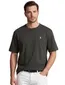 Grijs t-shirt backprint Polo Ralph Lauren wijde fit