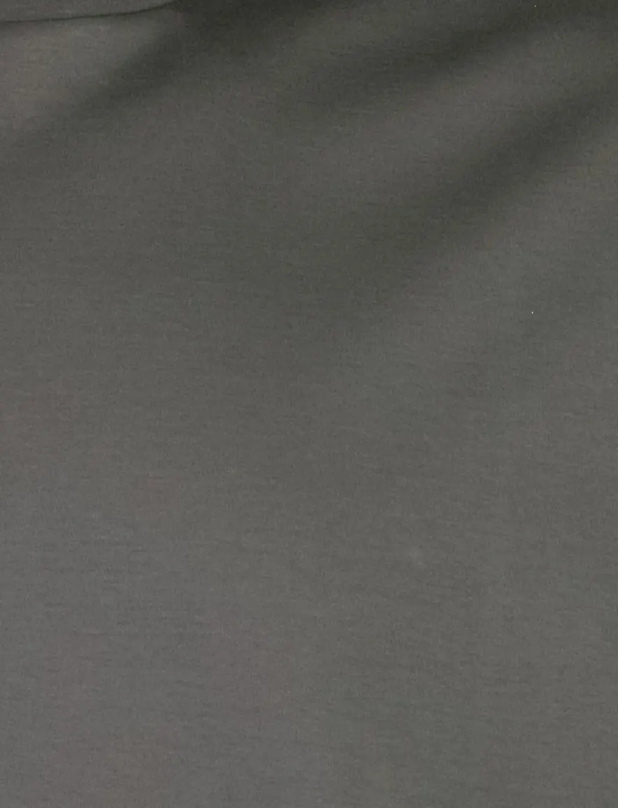 T-shirts Born With Appetite grijs