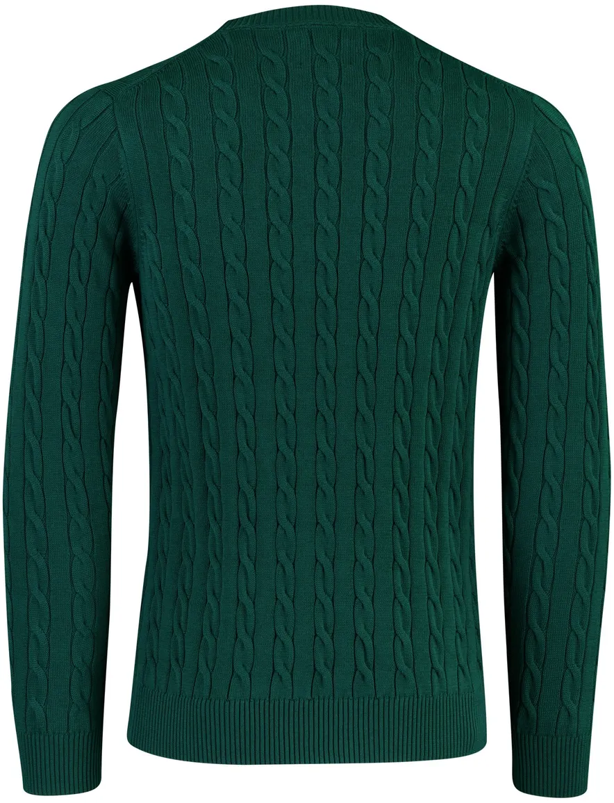 Trui Gant groen