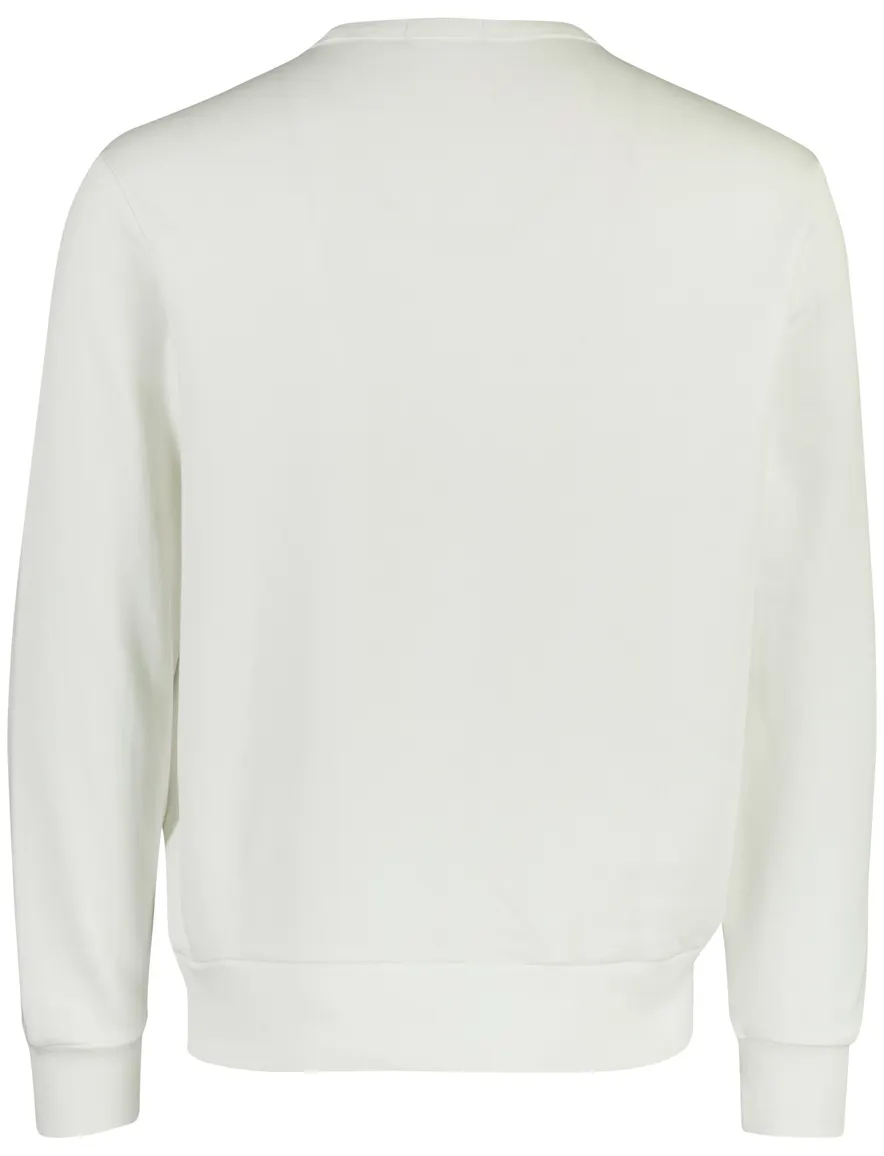 Polo Ralph Lauren sweater wit