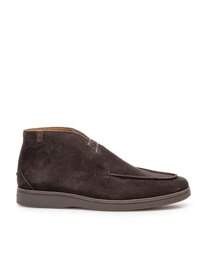 Floris van Bommel Boots Floris van Bommel bruin suède