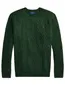 Trui Polo Ralph Lauren groen groen