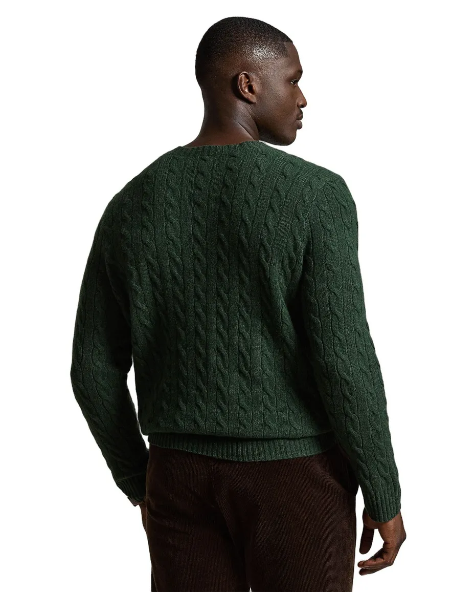 Trui Polo Ralph Lauren groen groen
