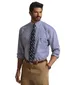 Overhemd Polo Ralph Lauren blauw blauw