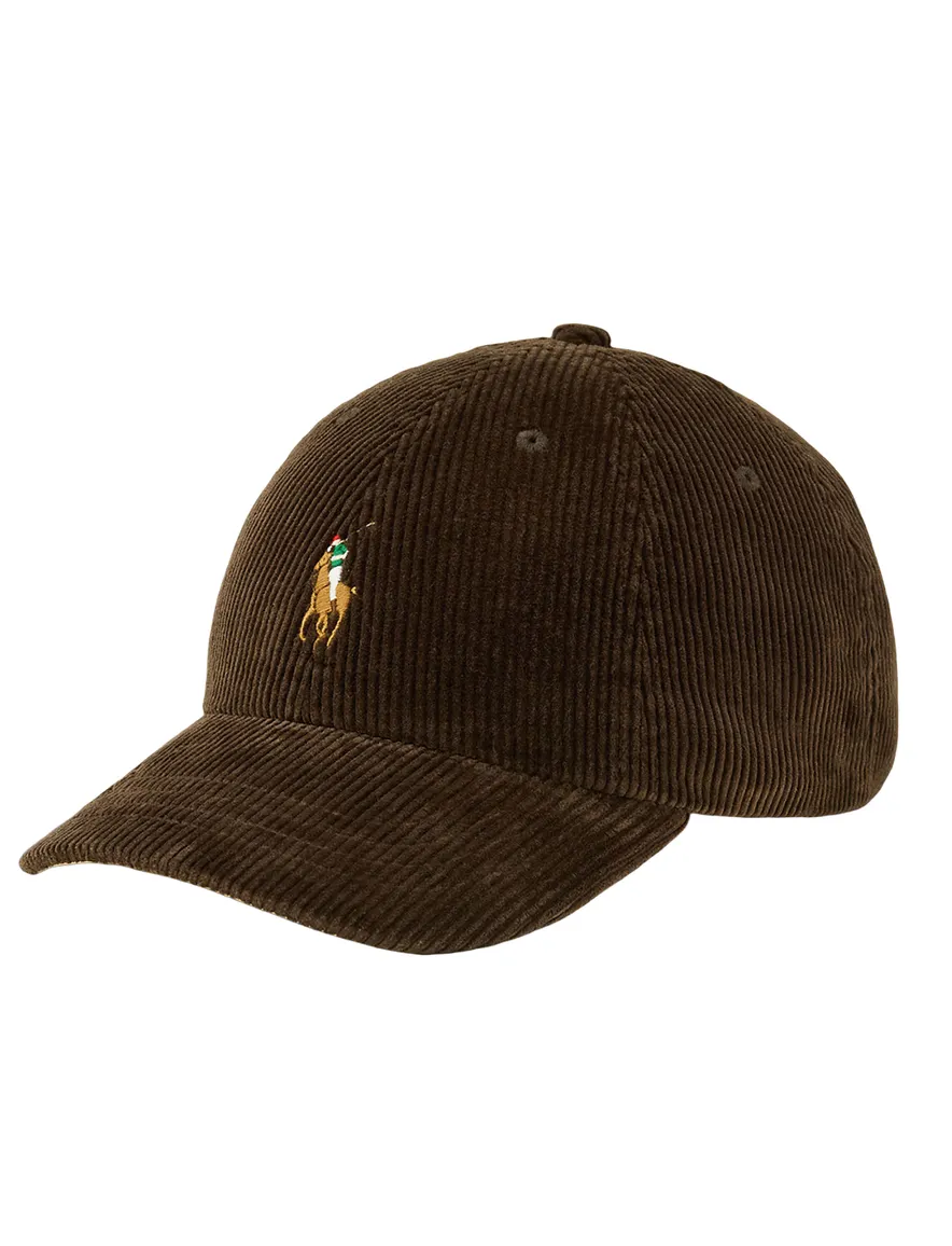 Polo Ralph Lauren corduroy pet bruin