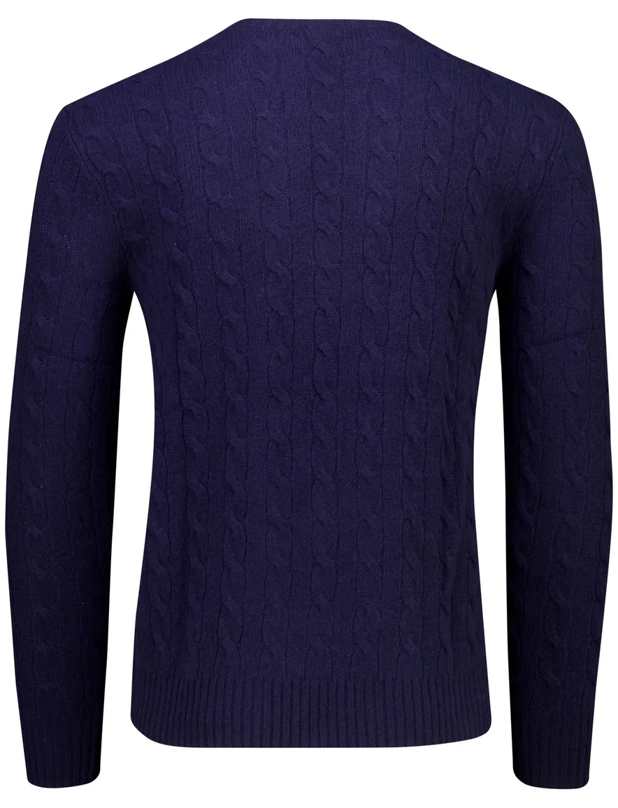 Trui Polo Ralph Lauren donkerblauw donkerblauw
