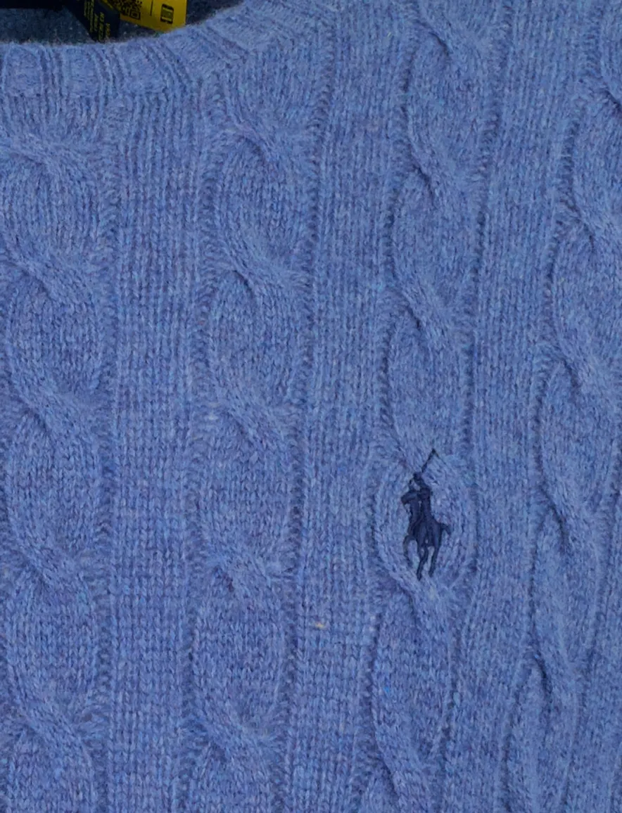 Trui Polo Ralph Lauren blauw blauw