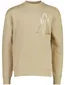 Aeden trui beige met opdruk