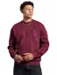 Aeden trui ronde hals bordeaux