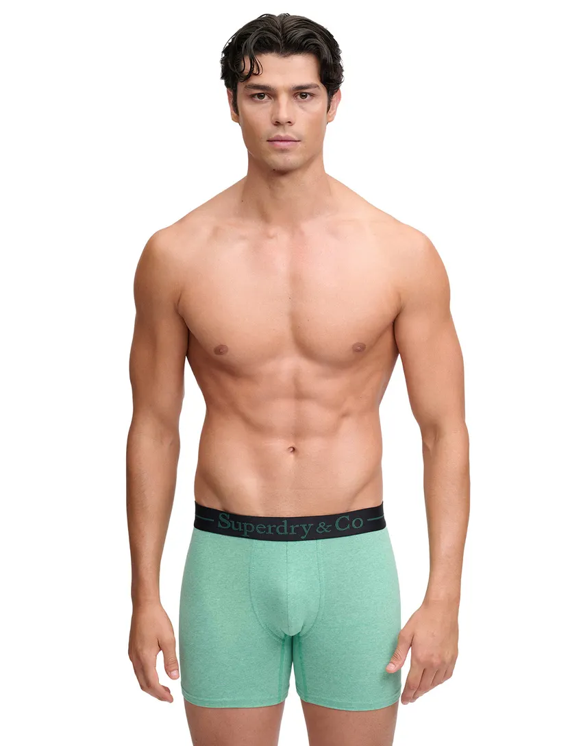 Ondergoed Superdry groen