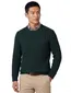 Superdry trui ronde hals donkergroen