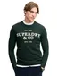 Trui Superdry groen