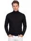 Coltrui Profuomo zwart PULLOVER ROLL NECK BLACK