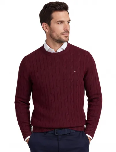 Tommy Hilfiger Tommy Hilfiger trui bordeaux lamswol