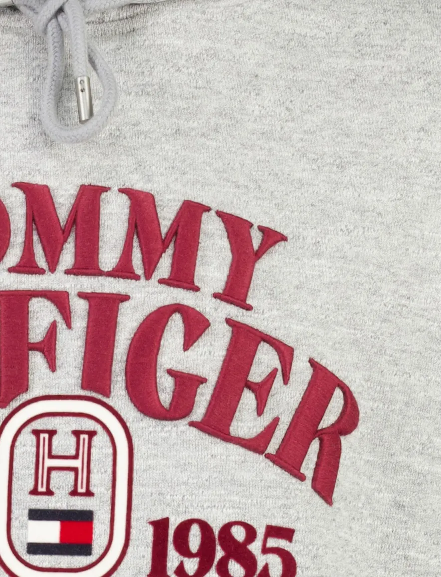 Hoodie Tommy Hilfiger grijs