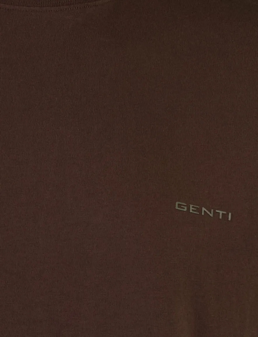 Genti T-shirt v-hals bruin