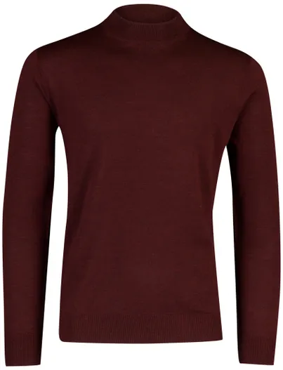 Thomas Maine Thomas Maine trui merinowol bordeaux gemeleerd