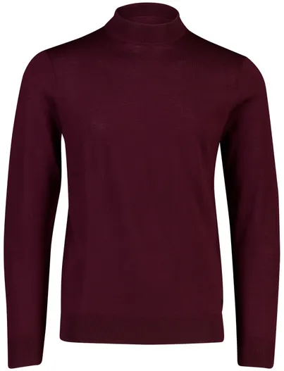 Born With Appetite Trui Born With Appetite bordeaux turtleneck fijn gebreid