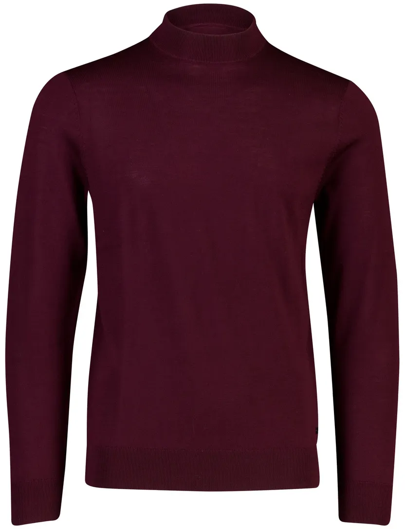 Trui Born With Appetite bordeaux turtleneck fijn gebreid