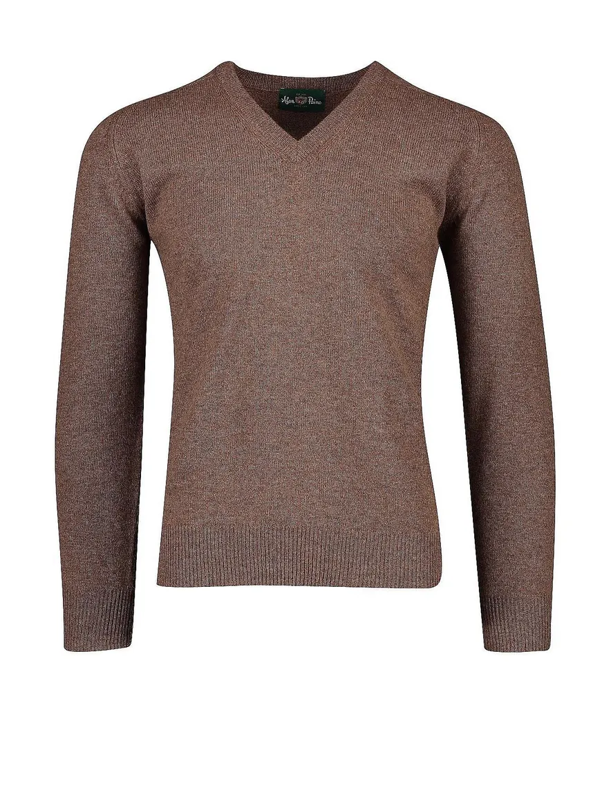 Alan Paine lamswol trui v-hals bruin