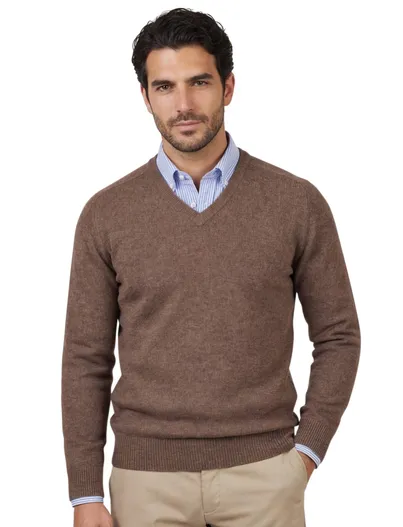 Alan Paine Alan Paine lamswol trui v-hals bruin