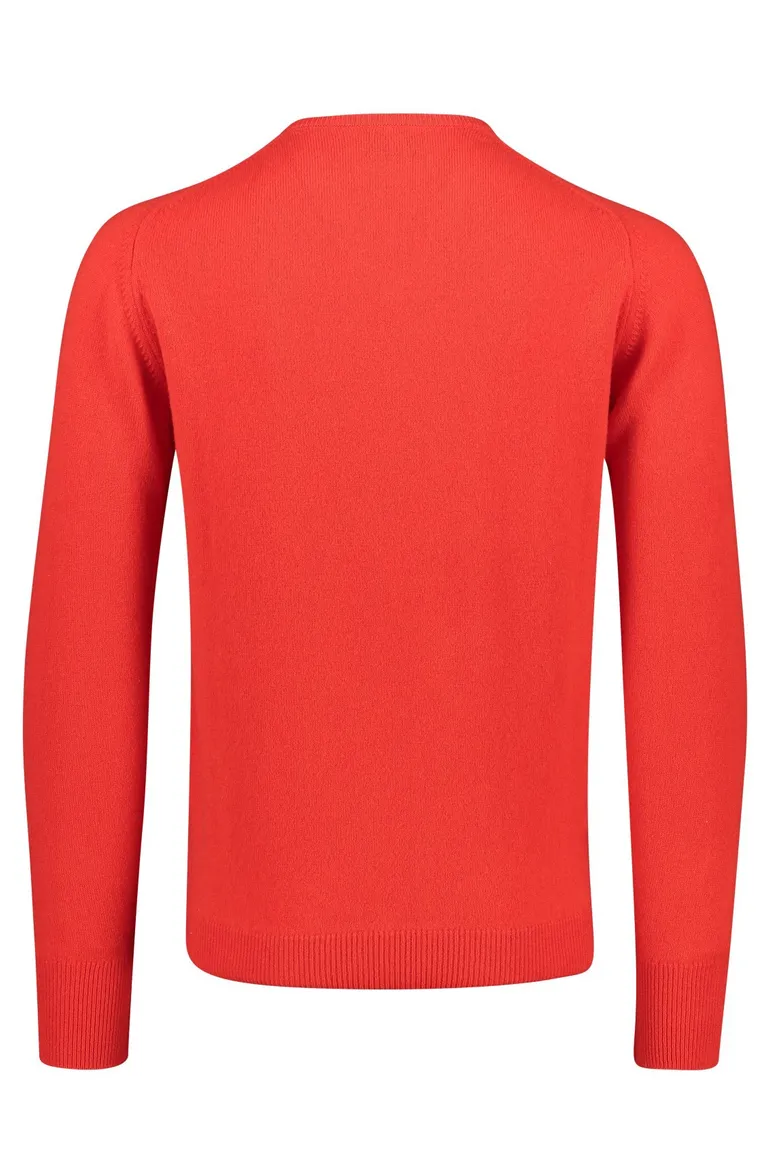 Lamswollen trui oranje William Lockie