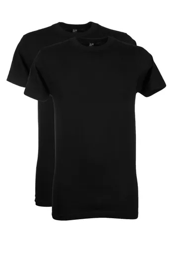 Alan Red Alan Red Virgina t-shirt zwart effen katoen 2-pack