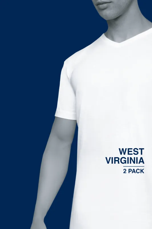 Alan Red T-shirt West Virginia navy 2-pack