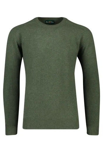 Alan Paine Lamswollen trui groen Alan Paine