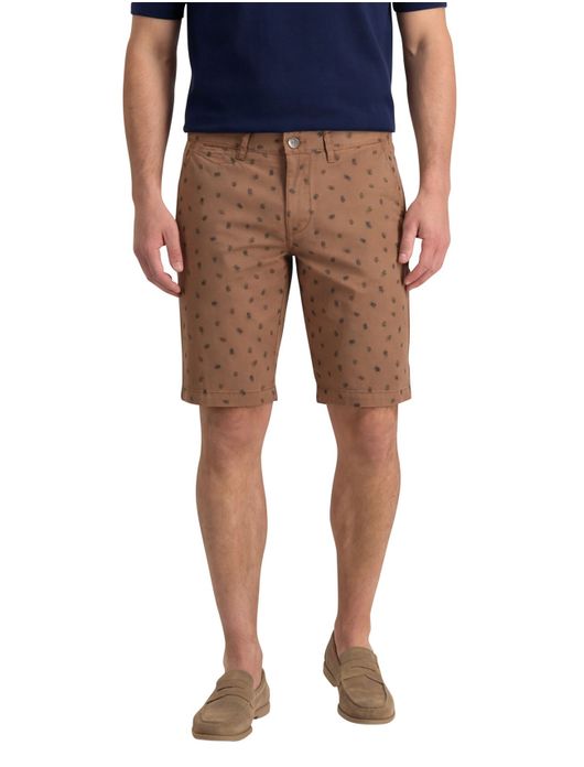 State of Art short print bruin