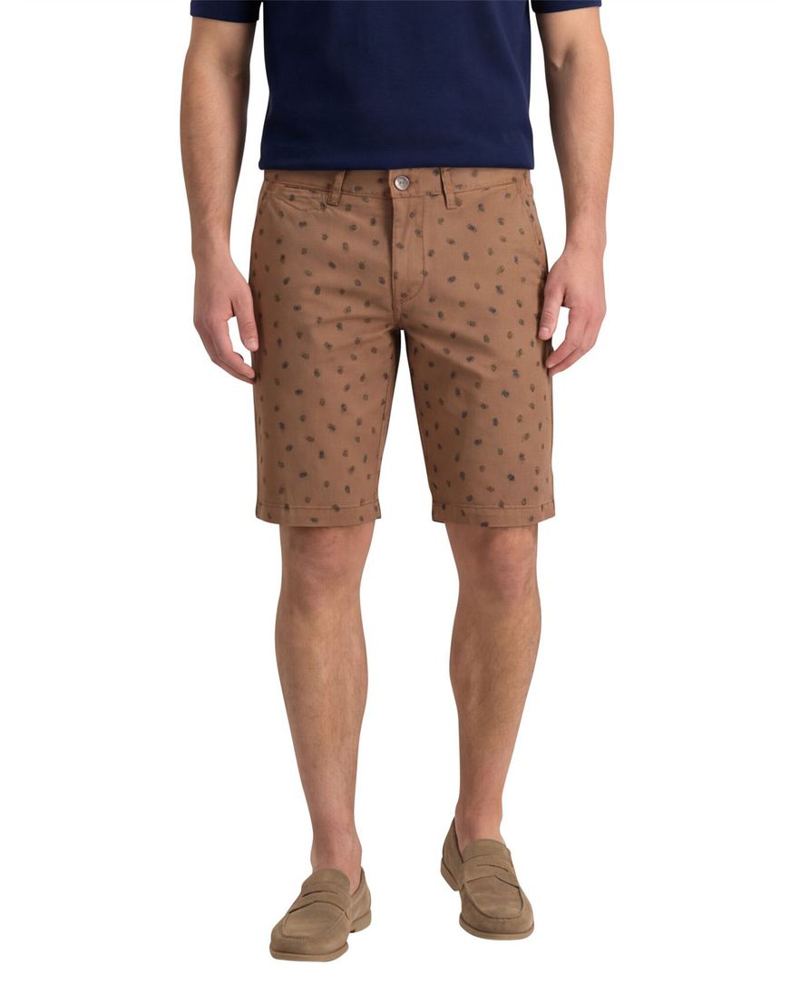 State of Art short print bruin