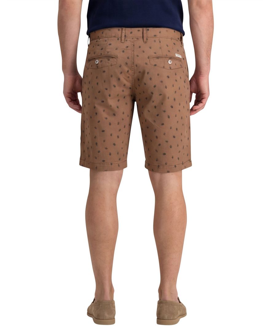 State of Art short print bruin