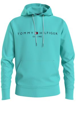 Tommy Hilfiger Tommy Hilfiger sweater lichtgroen